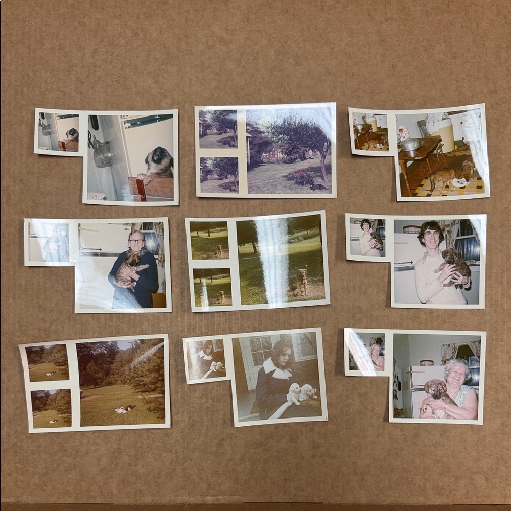Vintage Photo Collection